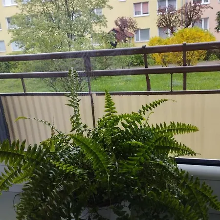 Apartament Mazury Jagiełły 7 A Apartament
